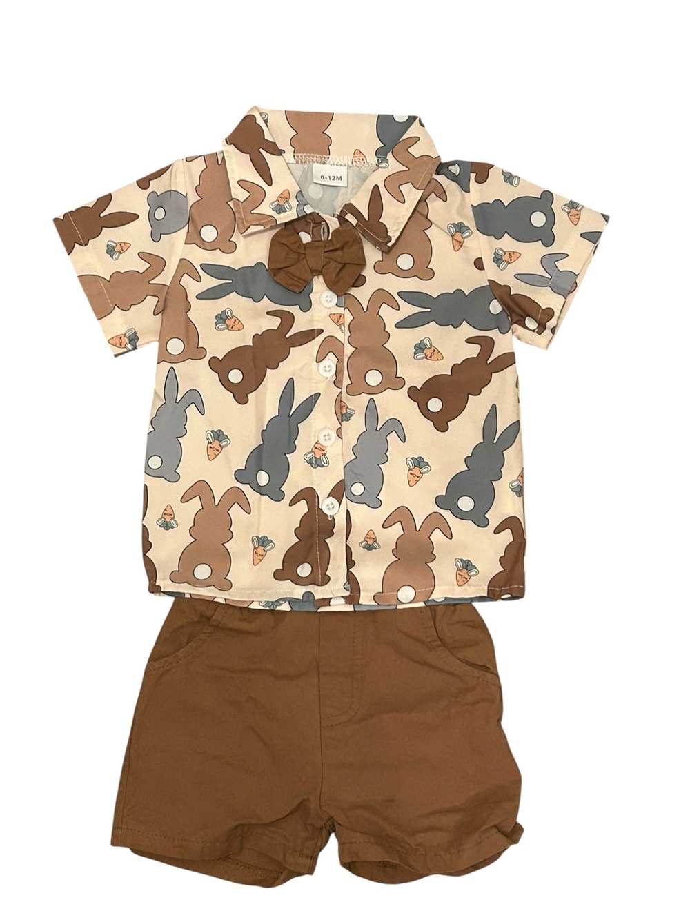 Boys 6-12M Two Piece Outfit Button Shirt & Shorts Bunny Carrots NWOT